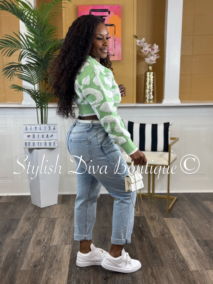 Isabelle Duo Color Cropped Knitted Cardigan (Light Green/White)