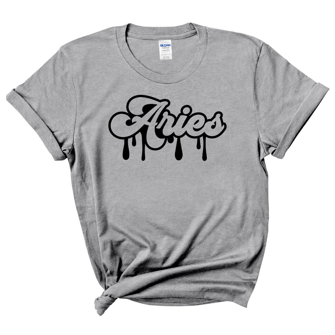 Aries Dripping T-Shirt (Black Print)