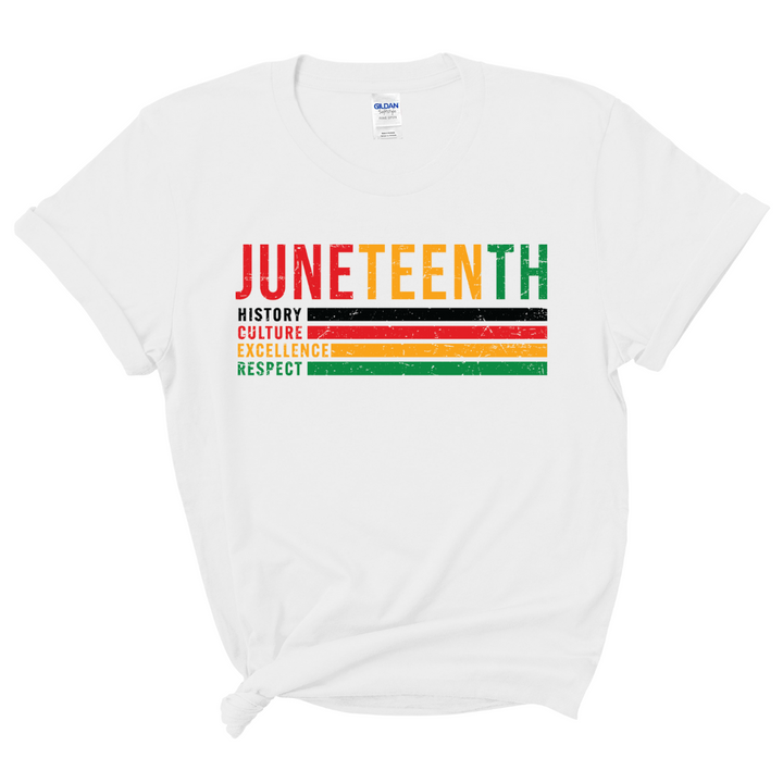 Juneteenth History T-Shirt (Multi-Color Print)
