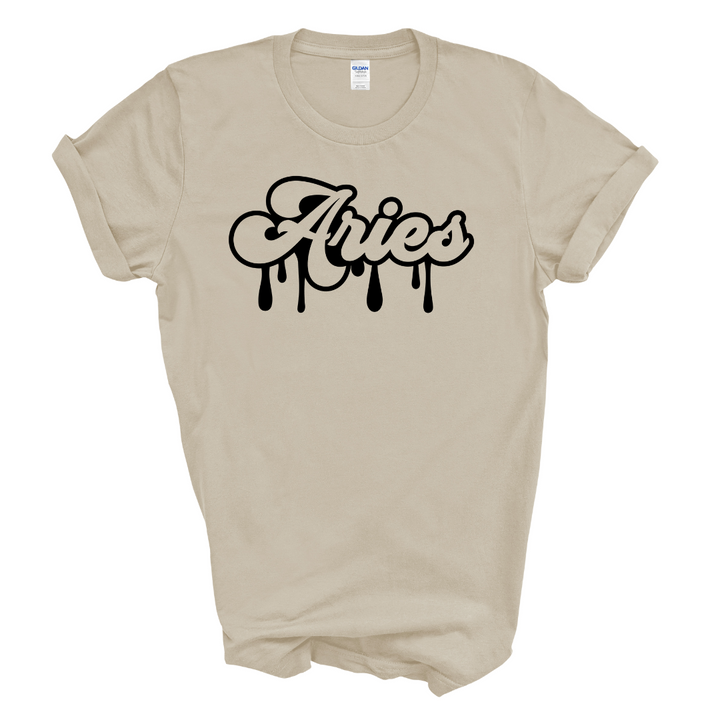 Aries Dripping T-Shirt (Black Print)