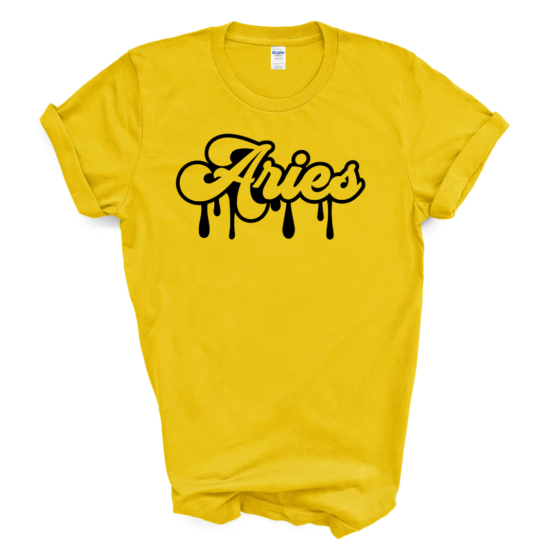 Aries Dripping T-Shirt (Black Print)