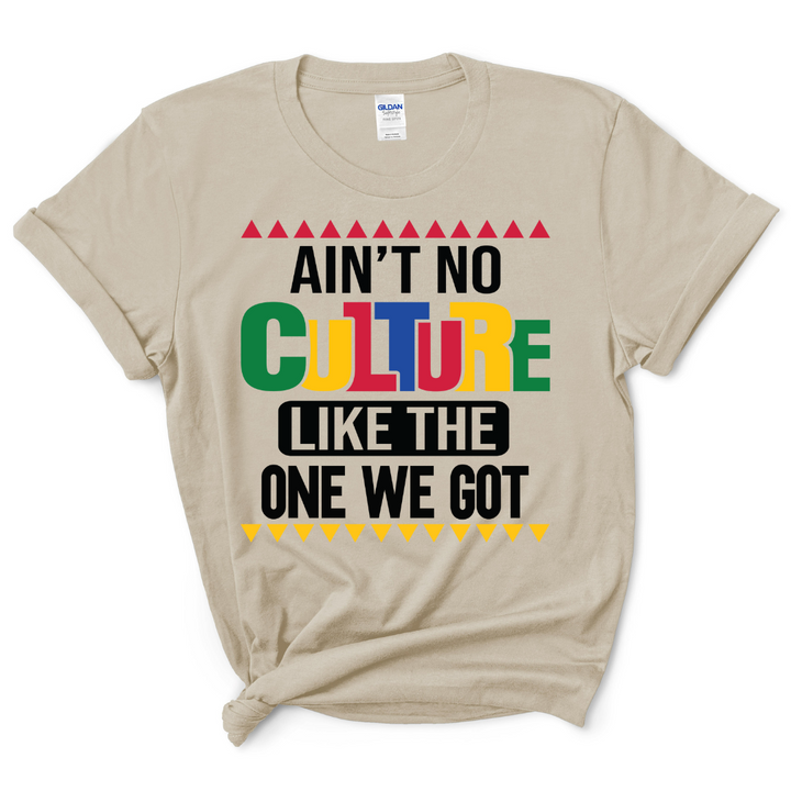 Ain't No Culture T-Shirt (Multi-Color Print)