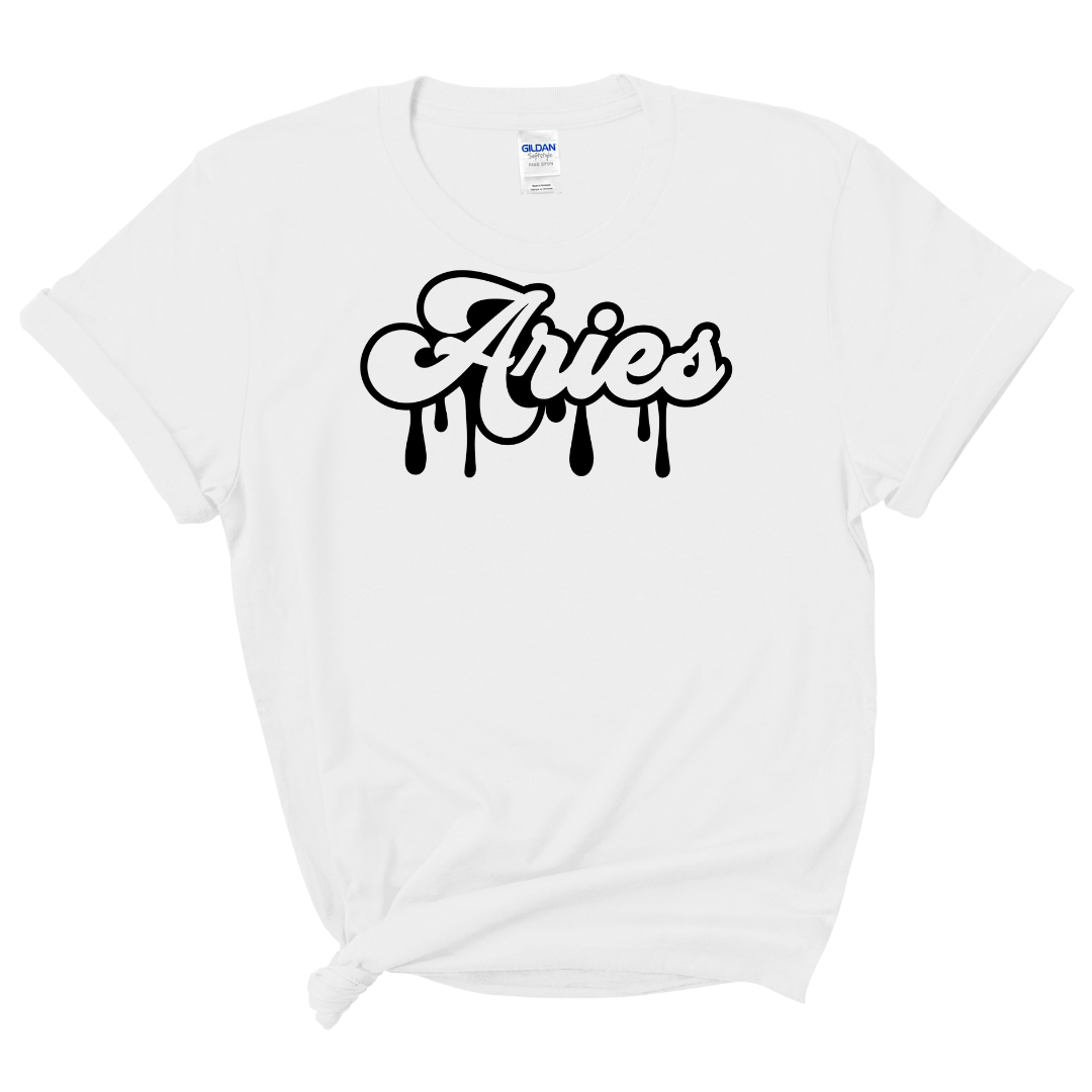 Aries Dripping T-Shirt (Black Print)