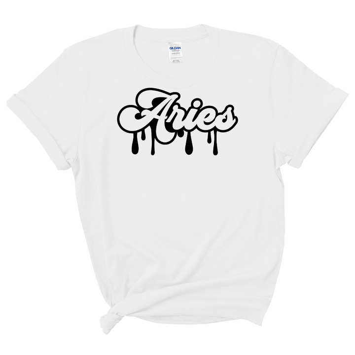 Aries Dripping T-Shirt (Black Print)