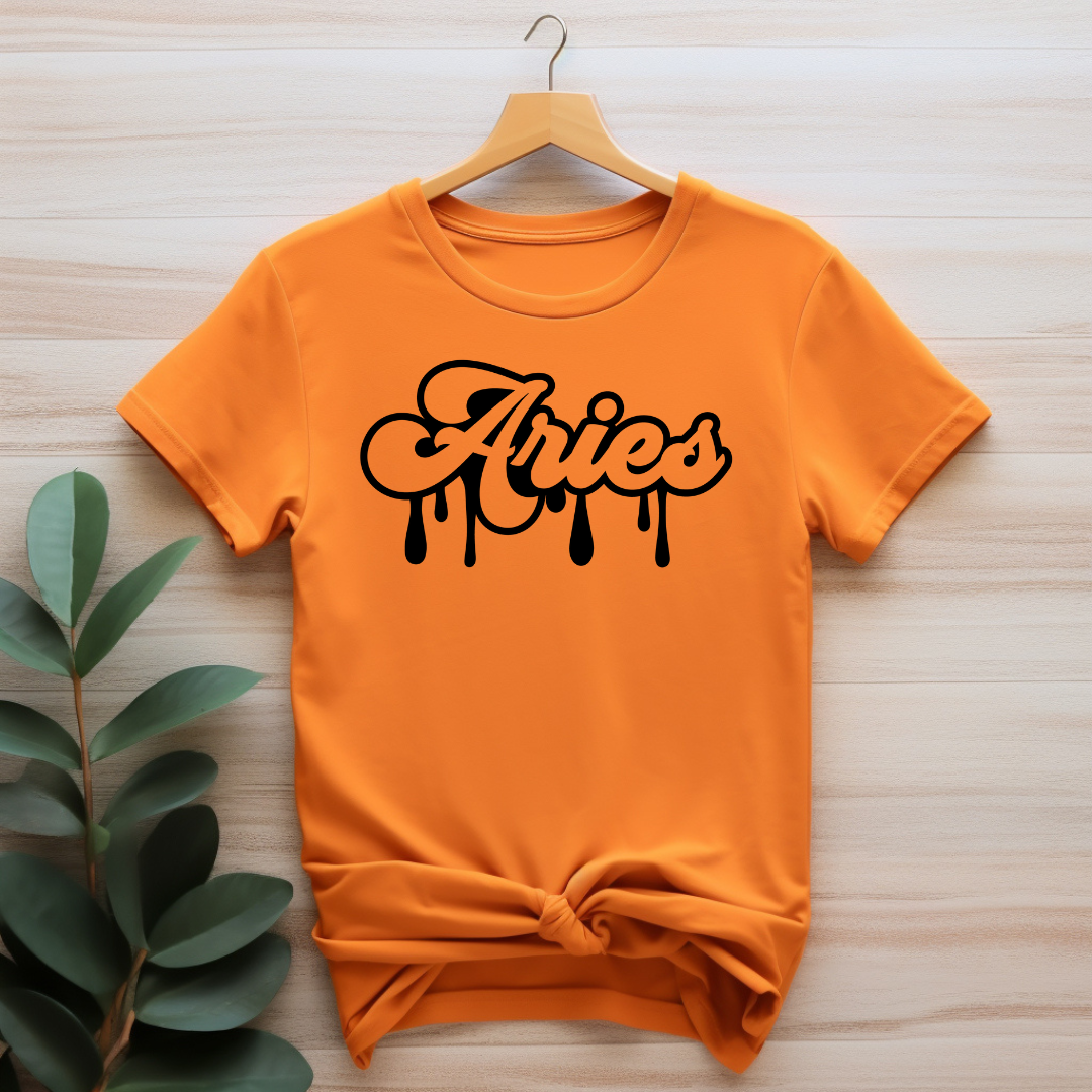 Aries Dripping T-Shirt (Black Print)