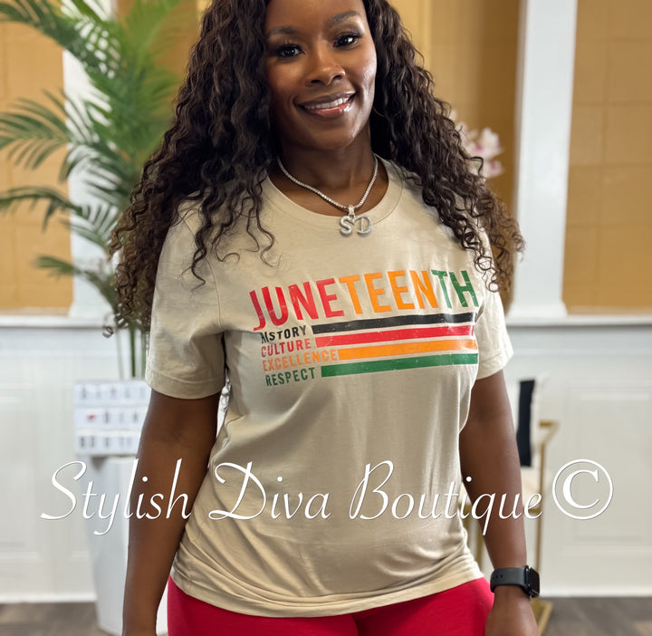 Juneteenth History T-Shirt (Multi-Color Print)