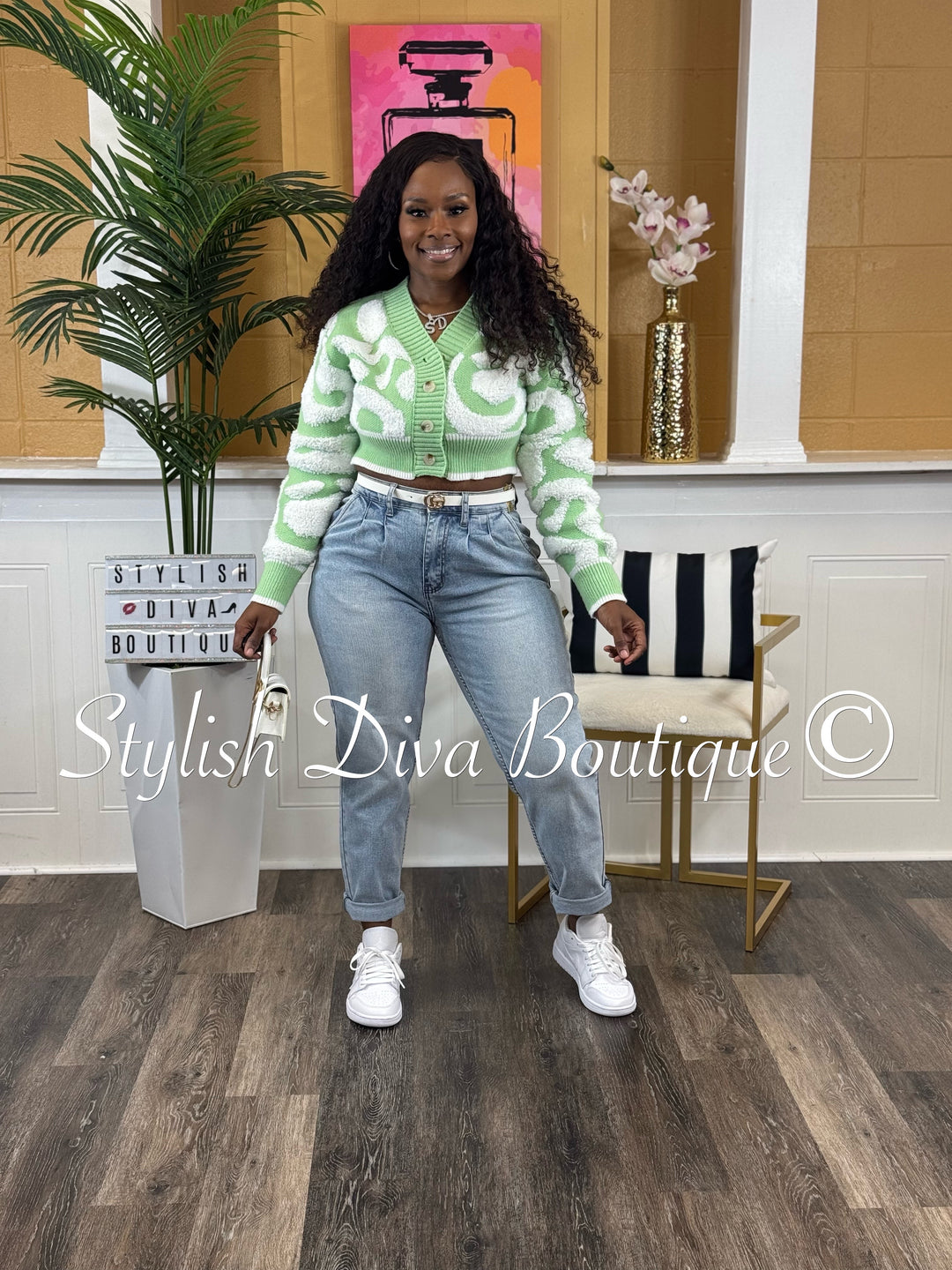Isabelle Duo Color Cropped Knitted Cardigan (Light Green/White)