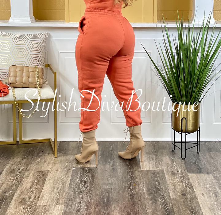 Stylish Luxe Joggers* PLUS SIZE (Ash Rose)